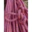 Rope COURANT SQUIR V2 PINK DRAGON 11.5 mm - free length