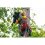 Tree climbing rescue in practice - TREE FELLING