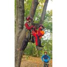 Tree climbing rescue in practice
