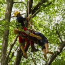 Tree climbing rescue in practice