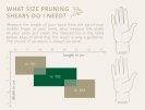 How to choose the right OKATSUNE shears size How to choose the right OKATSUNE shears size
