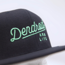 DENDROID ARB LIFE SNAPBACK cap