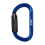STEIN SECURA OVAL Alu carabiner - gold