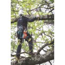 Fűrészrögzítő heveder NOTCH QUICK CINCH 15 kg