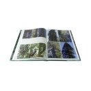 COAST REDWOOD book