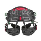 Arborist harness TEUFELBERGER treeMOTION ESSENTIAL X