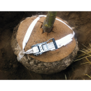 GEFA Rootball Anchor -  BIO TREELOCK
