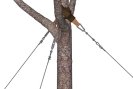 Felszíni rugalmas rögzítés GEFA TREEANCHOR