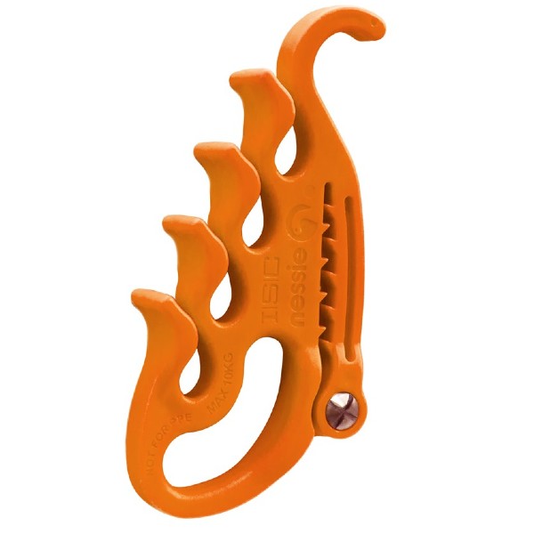Organizátor kmenovky ISC NESSIE