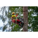 Tree climbing rescue in practice - TREE FELLING