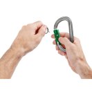 PETZL AmD Pin-Lock carabiner