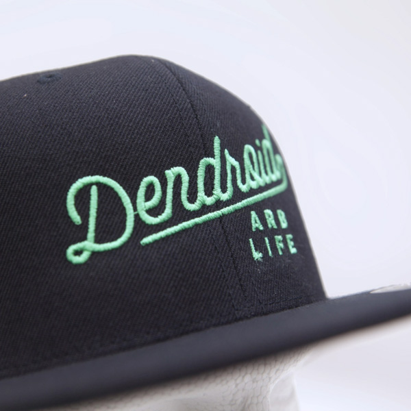 DENDROID ARB LIFE SNAPBACK cap