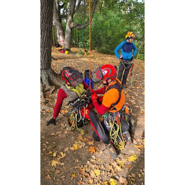 Tree climbing rescue in practice