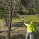 CASTELLARI RY300 2,3 - 3,3 m