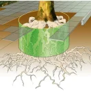 GEFAguard® ROOT BARRIER GEFAguard® ROOT BARRIER