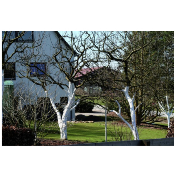 Protective coating ARBO FLEX 7 PLUS 10 kg