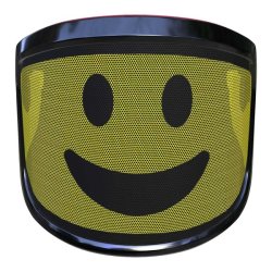 Protective shield PROTOS INTEGRAL VISOR F39 - SMILE