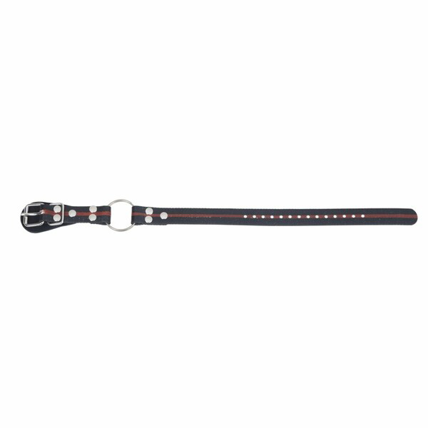 Bottom STRAP for TREE UP tree climbing spurs