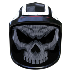 Protective shield PROTOS INTEGRAL VISOR F39 - SKULL