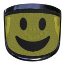 Protective shield PROTOS INTEGRAL VISOR F39 - SMILE