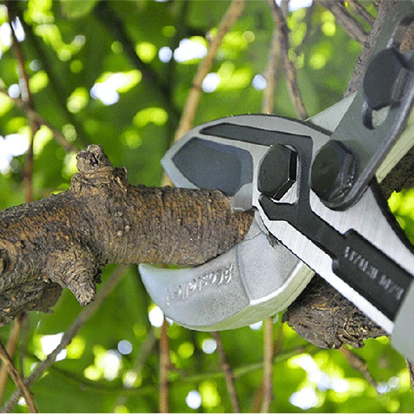 CASTELLARI TUCANO C anvil loppers