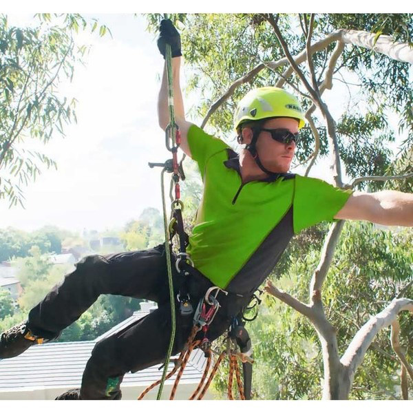 Positioning descender ART SPIDERJACK 2.1 - DYNEEMA