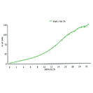 GEFA PA STRETCHABLE 10 T dynamic bracing