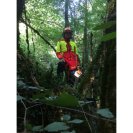 Arborist jacket 3 in 1 FRANCITAL GRIGNAN