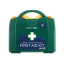 First aid kit for the workplace BLUE DOT FIRST AID KIT SMALL