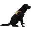 Harness for the dog CAMP KRONOS HiVis
