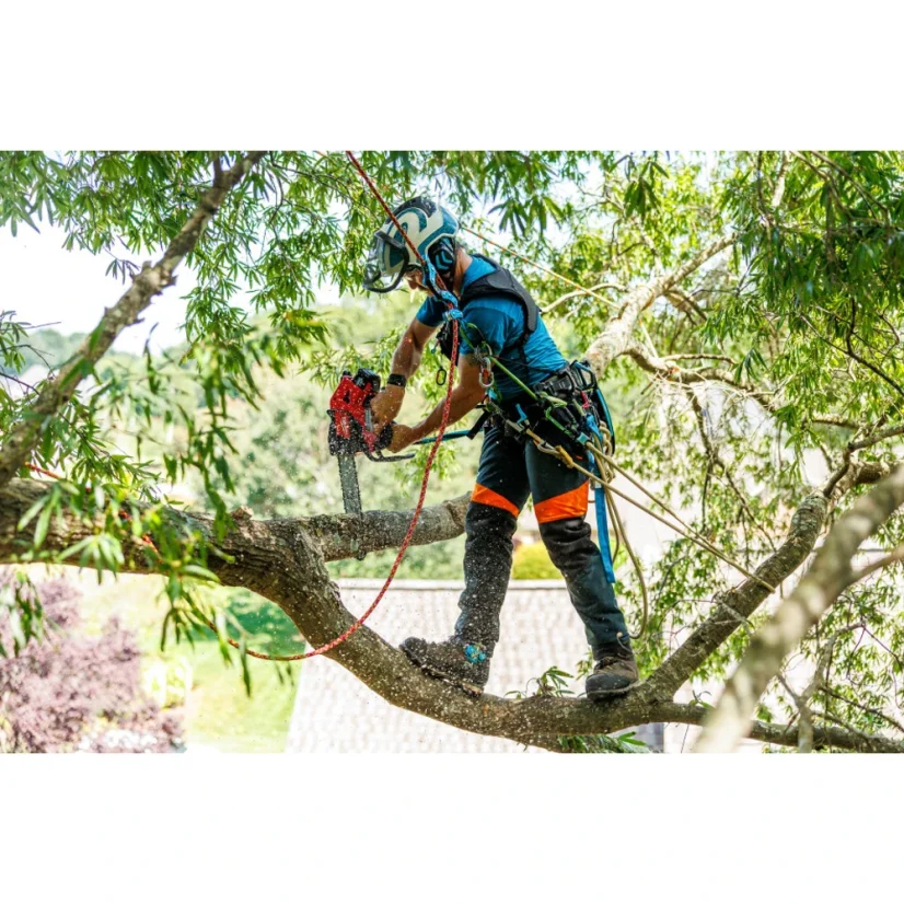 STERLING TRIAD 11.9 mm arborist rope