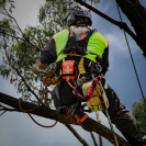 Elsősegélycsomag REECOIL DEPLOY TRAUMA KIT