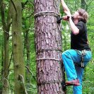 Tree-climbing stepper TREE-MONKEY STEPPERS
