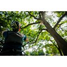 NOTCH CHESTER DLX mellheveder