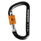 Auxiliary SINGING ROCK MINI D screw carabiner