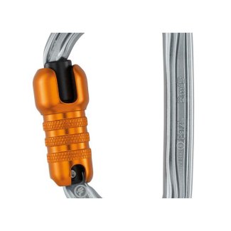 PETZL BmD Triact-Lock silver carabiner