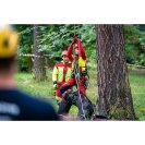 Tree climbing rescue in practice - TREE FELLING