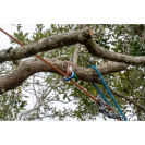 TEUFELBERGER RINGSLING