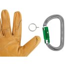 PETZL AmD Pin-Lock carabiner