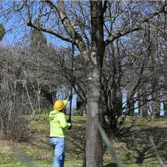 CASTELLARI RY300 CARBON 2,3 - 3,3 m