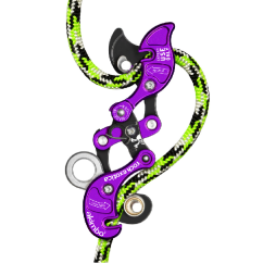 ROCK EXOTICA AKIMBO 2