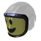 Protective shield PROTOS INTEGRAL VISOR F39 - SMILE