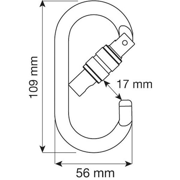 Carabiner CAMP STEEL OVAL PRO LOCK