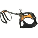 KONG HARIA harness for rescue dogs KONG HARIA harness for rescue dogs