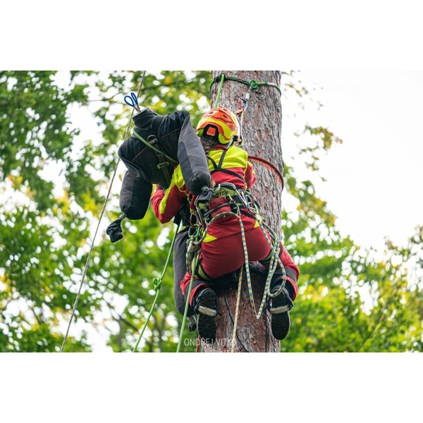 Tree climbing rescue in practice - TREE FELLING