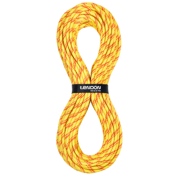 Rope TENDON SECURE 10.5 - yellow