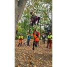 Tree climbing rescue in practice