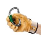 PETZL AmD Pin-Lock carabiner