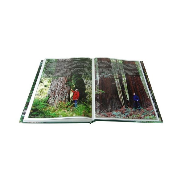 COAST REDWOOD book