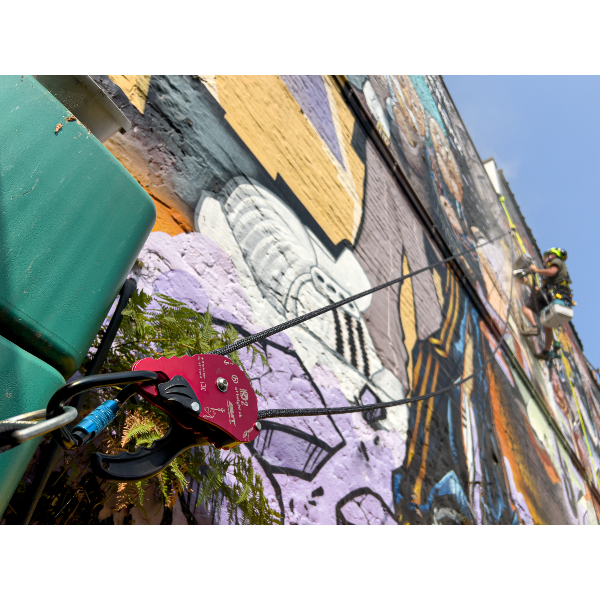 Carabiner AT HEIGHT K25 CURLYWIRLY 25 kN 